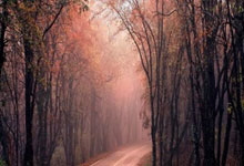 欧博：足球传奇马拉多纳死亡案开庭 7名医生被控过失杀人央视新闻客户端.