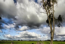 欧博：哈尔滨亚冬会各项筹办工作均已就绪央视新闻客户端.