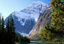 逼上悬崖！国足0比2不敌澳大利亚，下一场客战印尼不容有失澎湃新闻.